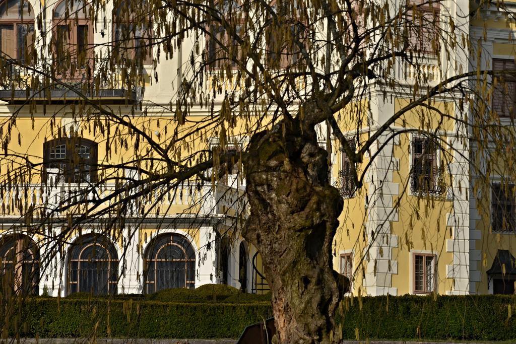 Penzion pri Kastieli Betliar Bagian luar foto